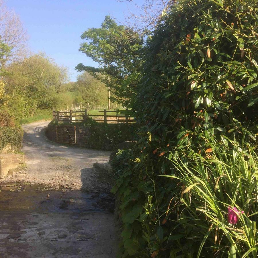 فيلا The Bakery Llanddeiniol المظهر الخارجي الصورة